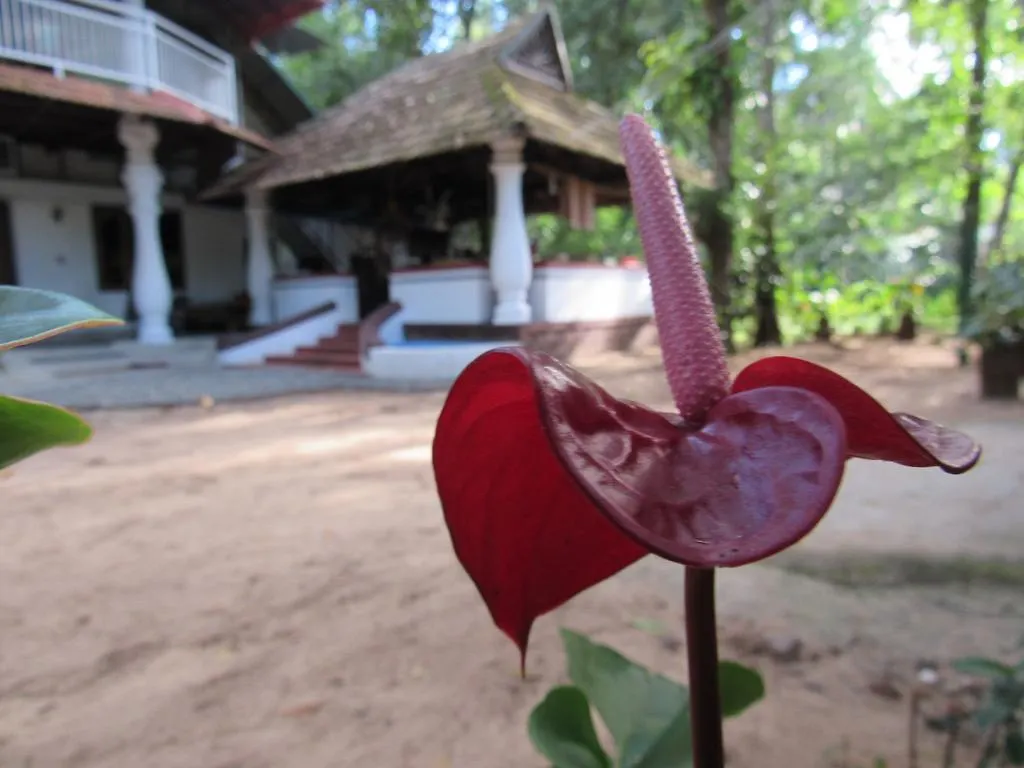 Marari Dreamz Villa Alappuzha