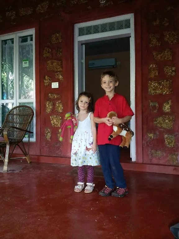 Marari Dreamz Villa Alappuzha