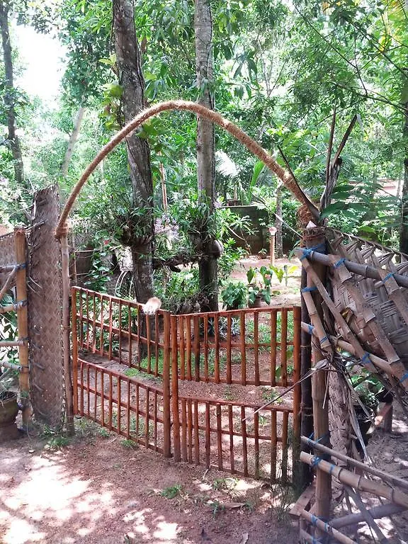 Marari Dreamz Villa Alappuzha