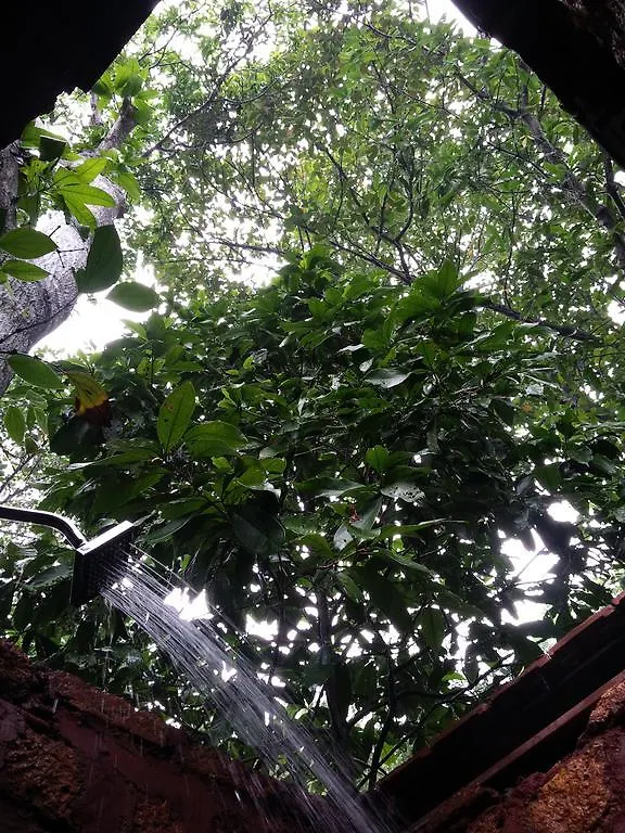 Marari Dreamz Villa Alappuzha 0*,