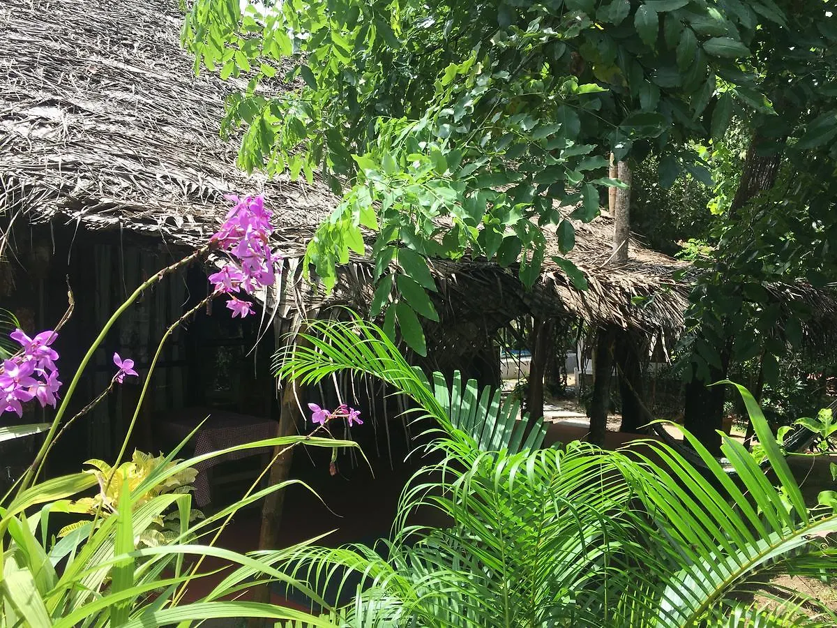 Marari Dreamz Villa Alappuzha
